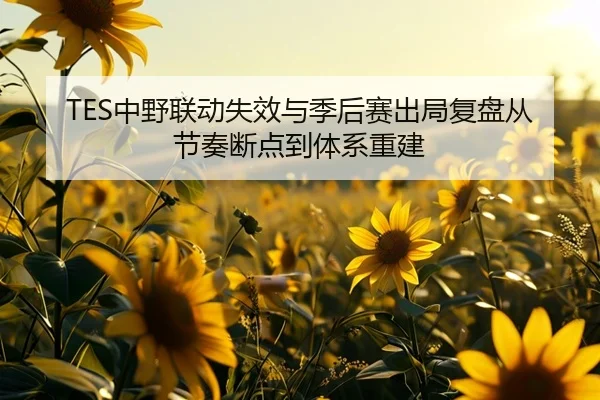 TES中野联动失效与季后赛出局复盘从节奏断点到体系重建